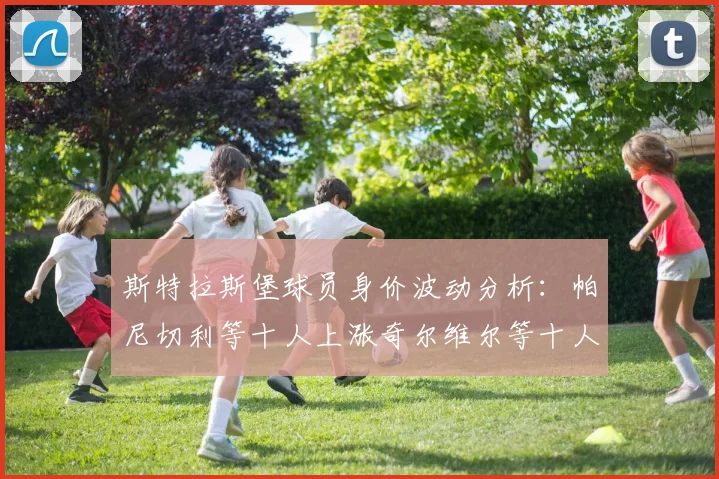 斯特拉斯堡球员身价波动分析：帕尼切利等十人上涨奇尔维尔等十人下滑