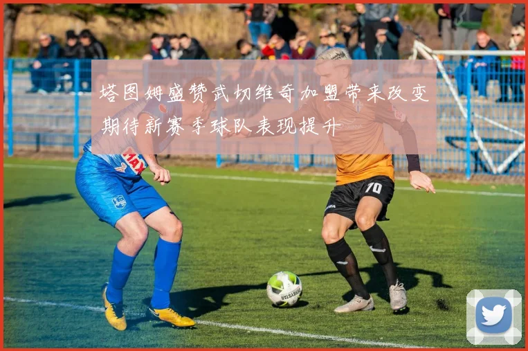 塔图姆盛赞武切维奇加盟带来改变期待新赛季球队表现提升