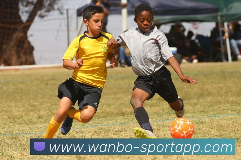 万博足球官网平台生态图