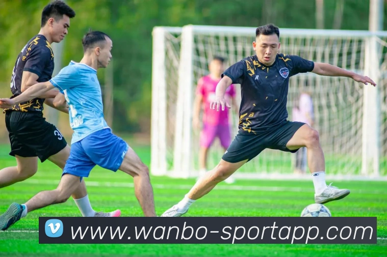 万博足球官网全站App